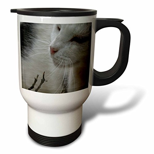 3dRose Cat Black and White Cat Stainless Steel Travel Mug, 14-Ounce