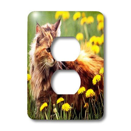 3dRose lsp_573_6 Cat In The Flower Field 2 Plug Outlet Cover