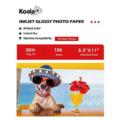 Koala Glossy Inkjet Brochure and Flyer Paper 8.5x11 Inches 135gsm 100 Sheets Compatible with Inkjet Printer