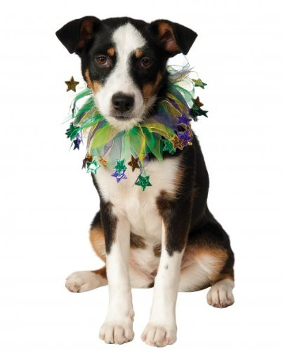 Rubie's Costume Co Fancy Mardi Gras Stars Pet Collar, Small/Medium