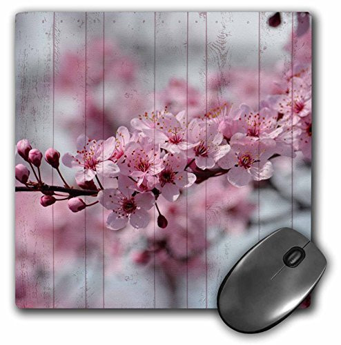 3dRose Cherry Blossom Flowers with Wood Look Mouse Pad, 8" x 8" (mp_183249_1)