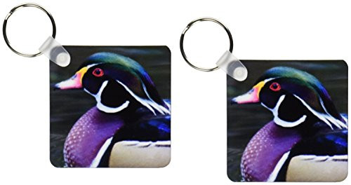 3dRose Closeup of male Wood Duck.(Aix sponsa).Sicily,Italy.. - Key Chains, 2.25 x 4.5 inches, set of 2 (kc_45714_1)
