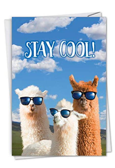 NobleWorks, Cool Llamas Congrats - Congratulations Card with Envelope - Party Animals, Cute Animal Congrats Notecard C7188CGG NobleWorks, Cool Llamas Congrats - Congratulations Card with Envelope - Party Animals, Cute Animal Congrats Notecard C7188CGG