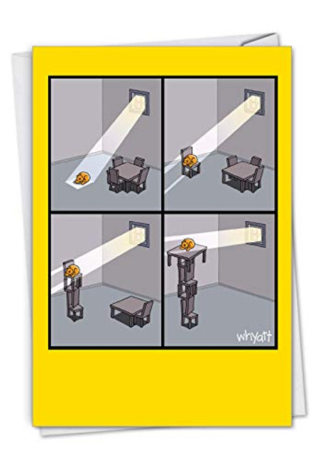 NobleWorks, Cat Light - Funny Cat Congratulations Card with Envelope - Cartoon Pet Humor, Congrats Notecard C3350CGG NobleWorks, Cat Light - Funny Cat Congratulations Card with Envelope - Cartoon Pet Humor, Congrats Notecard C3350CGG
