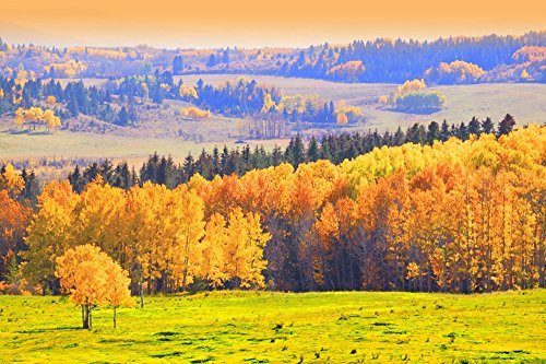 Posterazzi Countryside In Autumn Poster Print (17 x 11)