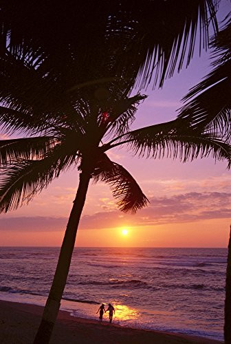 Posterazzi Couple In Distance On Beach Shoreline At Sunset Palms Silhouetted Purple Orange Sky Poster Print (12 x 19)