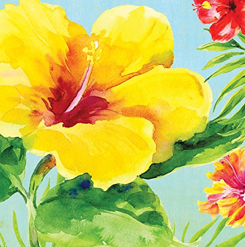 Creative Converting 18 Count Lunch Napkins, Heavenly Hibiscus