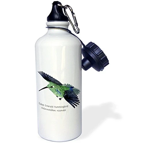 3dRose wb_37142_1"Cuban Emerald Hummingbird" Sports Water Bottle, 21 oz, White