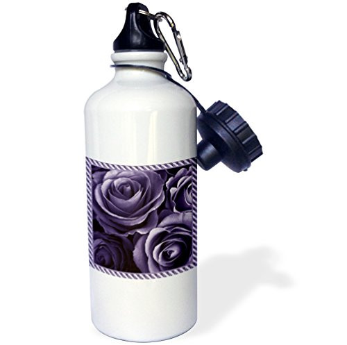 3dRose wb_29934_1"Close up scene of dreamy muted deep purple roses surrounded by a striped frame" Sports Water Bottle, 21 oz, White