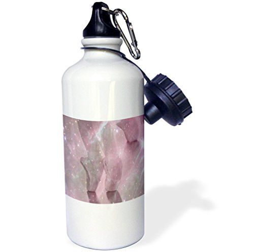 3dRose wb_23912_1"Ballerina Pink" Sports Water Bottle, 21 oz, White