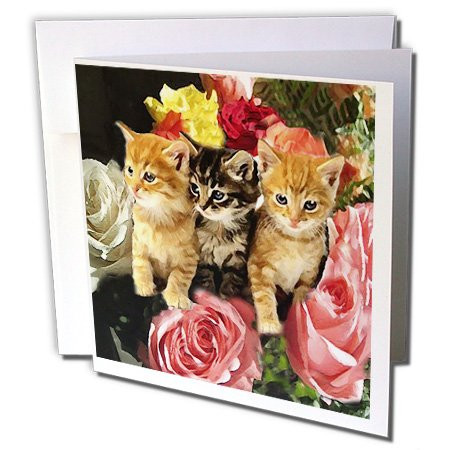 3dRose Cute Kittens - Greeting Cards, 6 x 6 inches, set of 12 (gc_4323_2)
