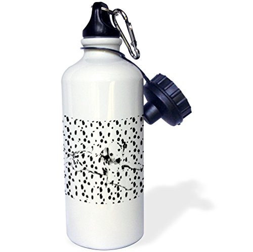 3dRose wb_751_1"Dalmatian, Spots On Spots" Sports Water Bottle, 21 oz, White 3dRose wb_751_1"Dalmatian, Spots On Spots" Sports Water Bottle, 21 oz, White