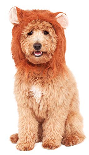 Rubie's Lion's Mane Costume Accessory for Pets, Small/Medium, Multicolor