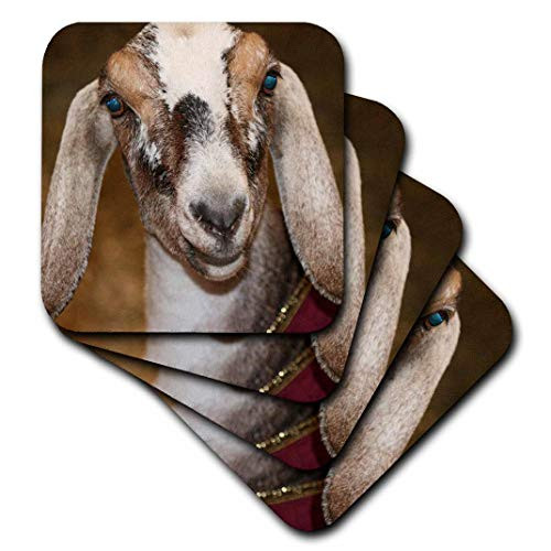 3dRose Nubian Dairy Goat Doe White Stripe Caprine sq  - Soft Coasters, set of 4 (cst_156065_1)