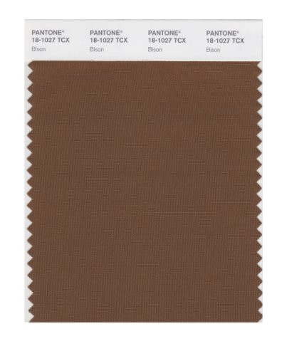 PANTONE SMART 18-1027X Color Swatch Card, Bison