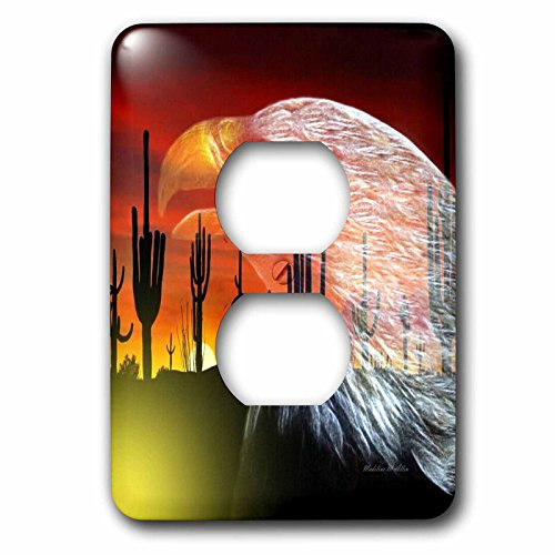 3dRose lsp_101123_6"Eagle Cactus - Protector 0F The Desert" 2 Plug Outlet Cover Multicolor