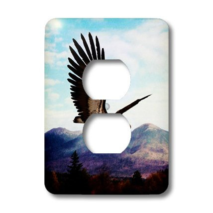 3dRose LLC lsp_19388_6 Eagle Soaring Over Purple Mountains Majesty 2 Plug Outlet Cover