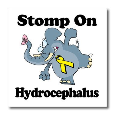 3dRose Elephant Stomp On Hydrocephalus Awareness Ribbon Cause Design-Iron On Heat Transfer, 8 by 8-inch, for White Material (ht_114569_1)