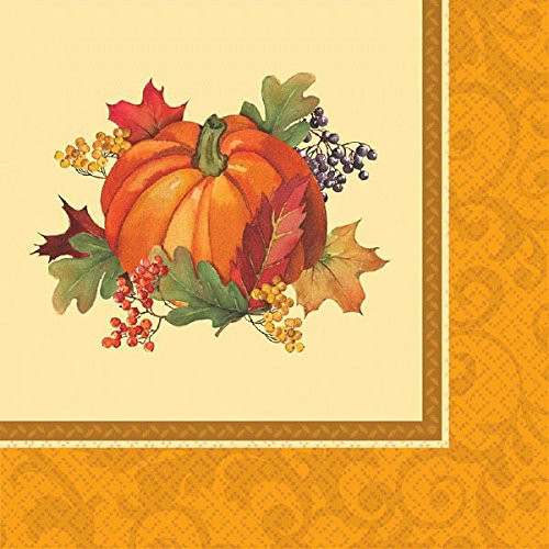 Bountiful Thanksgiving Multicolored Dinner Paper Napkins, 16 Ct. | Party Tableware