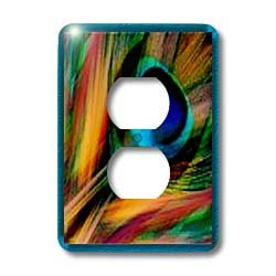 3dRose LLC lsp_25833_6 Feather of A Peacock 2 Plug Outlet Cover