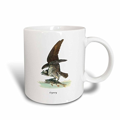 3dRose 114072_2 Osprey By John James Audubon Mug, 15 oz, White