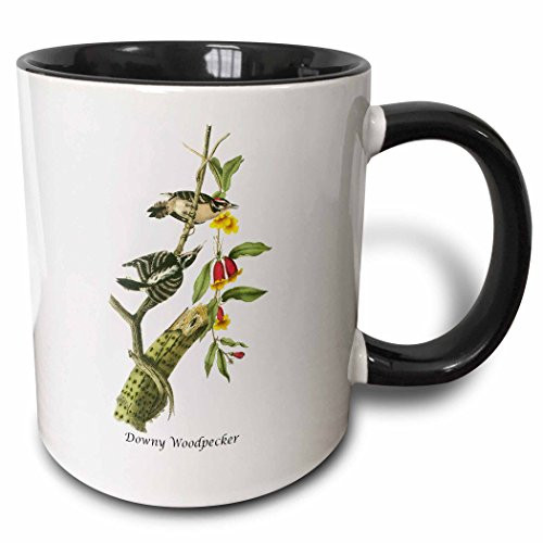 3dRose 114056_4"Downy Woodpecker by John James Audubon Two Tone Mug, 11 oz, Black/White