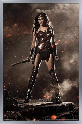 Trends International DC Comics Movie - Batman v Superman - Wonder Woman Wall Poster, 14.725" x 22.375", Silver Framed Version
