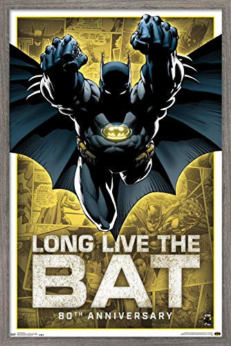 Trends International DC Comics-Batman-80th Anniversary Wall Poster, 22.375" x 34", Barnwood Framed Version