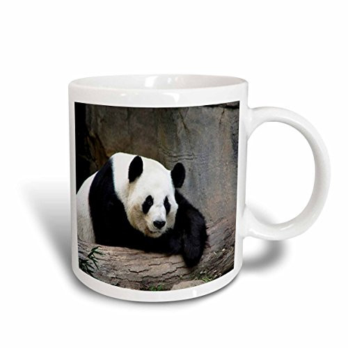 3dRose Giant Panda Ceramic Mug, 11-Ounce