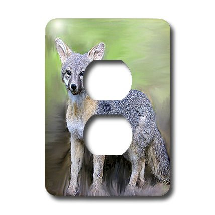 3dRose lsp_4657_6 Gray Fox 2 Plug Outlet Cover