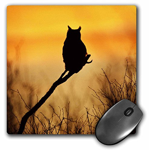 3dRose Great Horned Owl Mouse Pad at Sunset, US44 LDI0522, Larry Ditto, Mouse Pad 3dRose Great Horned Owl Mouse Pad at Sunset, US44 LDI0522, Larry Ditto, Mouse Pad