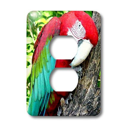 3dRose lsp_1027_6 Green wing Macaw 2 Plug Outlet Cover