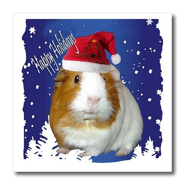 3dRose ht_4583_3 Guinea Pig Christmas Iron on Heat Transfer, 10 by 10", for White Material