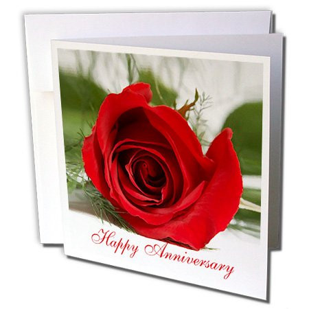 3dRose Happy Anniversary - Greeting Cards, 6 x 6 inches, set of 12 (gc_3655_2)