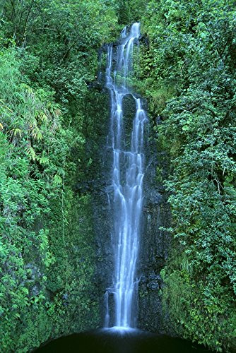 Posterazzi Hawaii Close-Up Of Waterfall On Mountain Side Green Foliage Pool Below C1653 Poster Print (12 x 19)