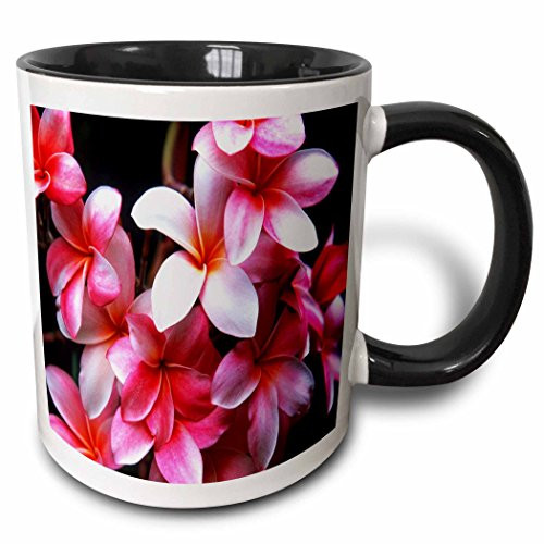 3dRose 62165_4 Hawaiian Fuchsia Colored Plumeria Flowers Ceramic Mug, 11oz, Black/White