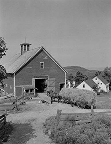 Hay on horsedrawn cart outside barn Poster Print (18 x 24)