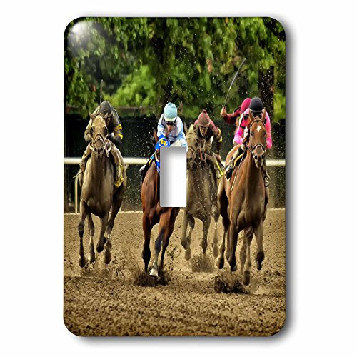 3dRose lsp_98372_1"Horses and jockeys racing to finish line, mud flying Single Toggle Switch, Multicolor