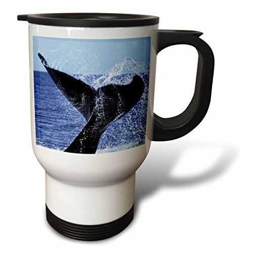 3dRose Humpback Whale, Silver Banks, Dominican Republic, Stainless Steel Travel Mug, 14-Oz 3dRose Humpback Whale, Silver Banks, Dominican Republic, Stainless Steel Travel Mug, 14-Oz