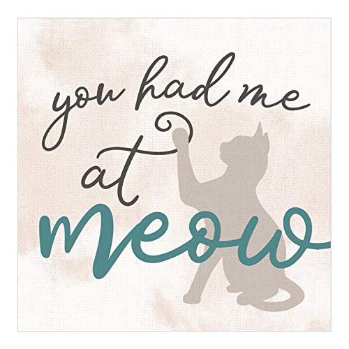 P. Graham Dunn You Had Me at Meow Soft Cream 3.375 x 3.375 Pine Wood Decorative Word Block Plaque