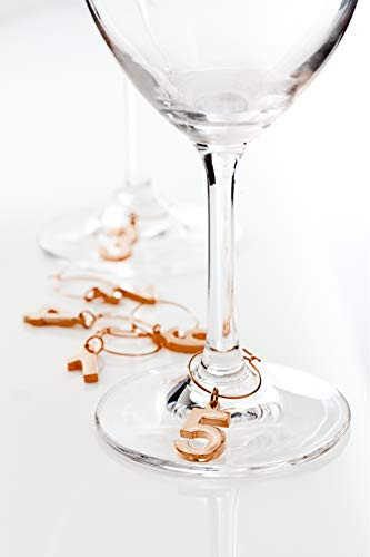 Viski 5371 Summit Copper Wine Charms (Pack of 12)