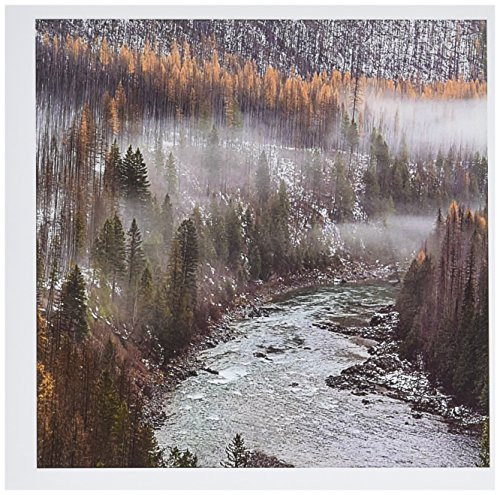 3dRose Larch Trees, Flathead River, Montana, USA Greeting Cards, 6" x 6", Set of 6 (gc_190047_1) 3dRose Larch Trees, Flathead River, Montana, USA Greeting Cards, 6" x 6", Set of 6 (gc_190047_1)