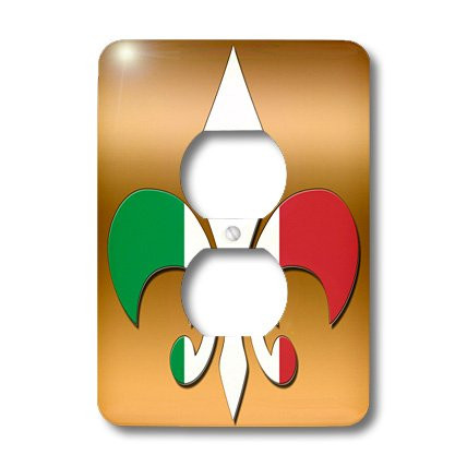 3dRose lsp_30762_6 Large Green White Red Fleur De Lis On A Gold Background Italian Flag Outlet Cover