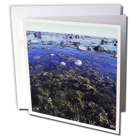 3dRose Live, Laugh, Love Aqua Butterfly Greeting Cards, 6" x 6", Set of 12 (gc_43986_2)