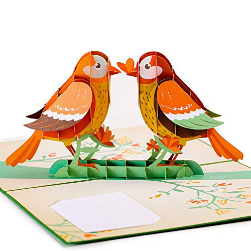 Paper Love Lovebirds Pop Up Card, Handmade 3D Popup Greeting Cards, for Valentines Day, Mothers Day, Wedding, Anniversary, Birthday, Love, Thank You, Get Well, All Occasions