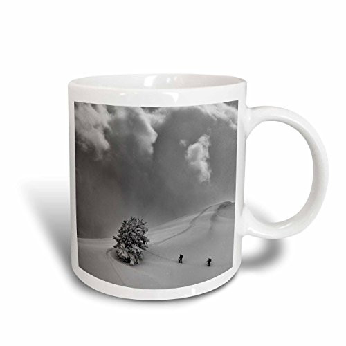 3dRose 207707_2 Sunset, Saguaro National Park, Arizona, Usa Mug, 15 oz, White