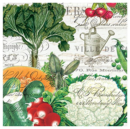 Michel Design Works From My Garden 20 Count Paper Cocktail Napkins