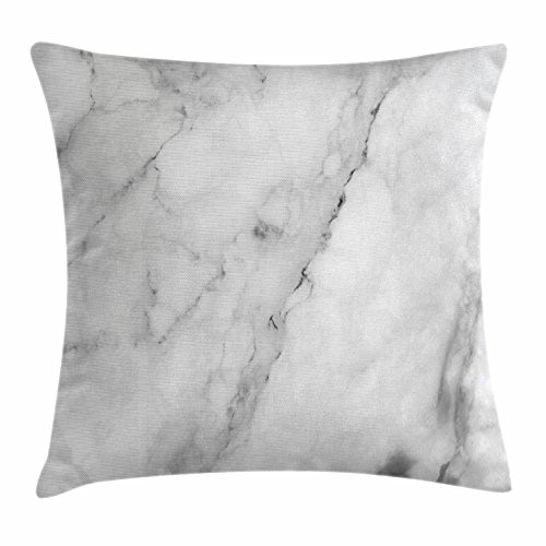 Ambesonne Marble Throw Pillow Cushion Cover, Granite Surface Motif with Sketch Nature Effect and Cracks Antique Style Image, Decorative Square Accent Pillow Case, 16" X 16", Grey Dust White