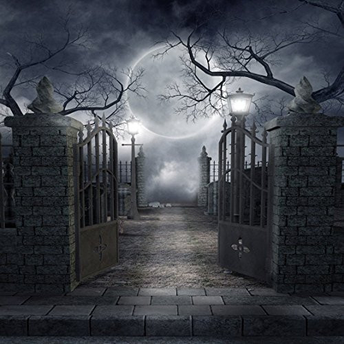 8X8FT Halloween Backdrops Vinyl Photo Background Photography Backdrop Moon Night Backdrop Studio Prop CP-52-0808