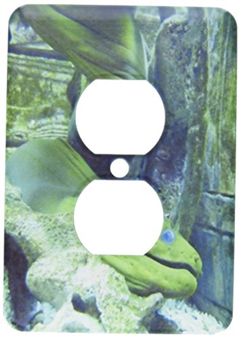 3dRose lsp_59736_6 Moray Eel 2 Plug Outlet Cover 3dRose lsp_59736_6 Moray Eel 2 Plug Outlet Cover